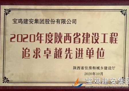 2020年度陜西省建設(shè)工程追求卓越先進單位